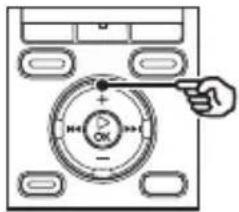 OLYMPUS WS-831 - [Datei löschen]: - 2