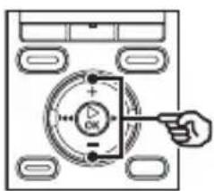OLYMPUS WS-831 - TIPP - 1