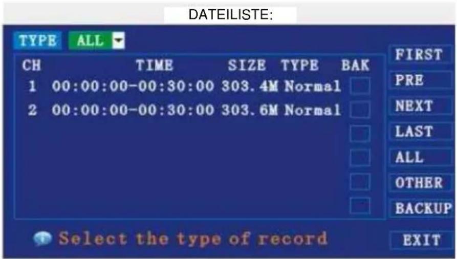 ELRO DVR74S - Methode 3: Suche mittels Dateiliste: - 1