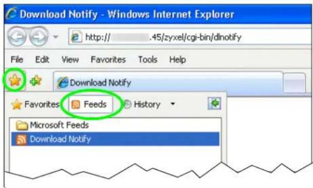 ZYXEL NAS520-8T - Internet Explorer 7 Example - 4