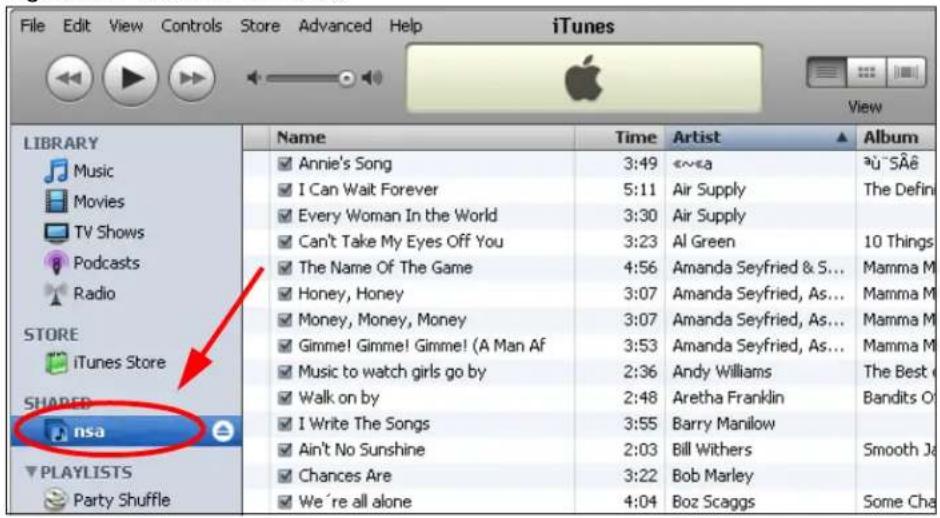 ZYXEL NAS520-8T - Songs from the iTunes Store - 1