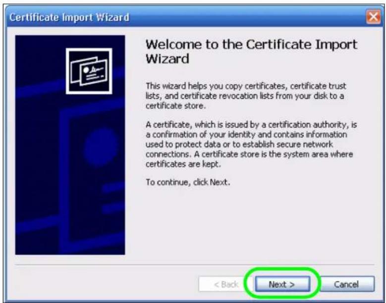 ZYXEL NAS520-8T - Downloading and Installing Customized Certificate - 5