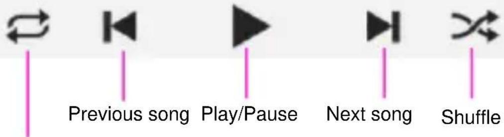 Previous song Play/Pause Next song Shuffle