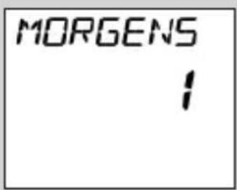 RADEMACHER DuoFern Manual Central Operating Unit 9493 - Einstellung: / MORGENS - 1