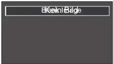 Ekeini Bage