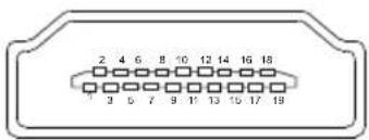 2 4 6 8 10 12 14 16 18 3 5 7 9 11 13 15 17 19