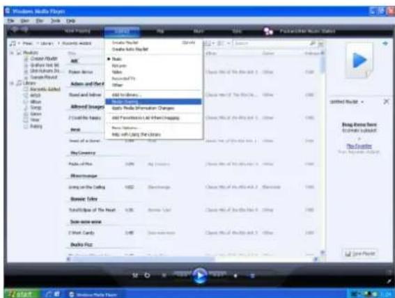 TECHNISAT DigitRadio 350 IR - Media-Player als UPnP-Server verwenden - 3