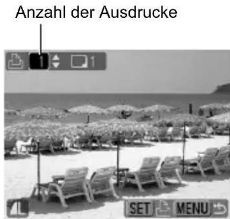 CANON Ixus 80IS - Übersicht ( 国 - 1