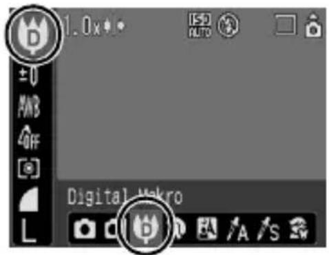 CANON Ixus 80IS - Wählen Sie Digital Makro. - 4