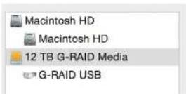 G-TECHNOLOGY Raid w/Thunderbolt - Reformat with Partitions - 2