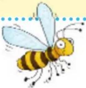 RAVENSBURGER Was passt wohin? - Freies Spiel - 2