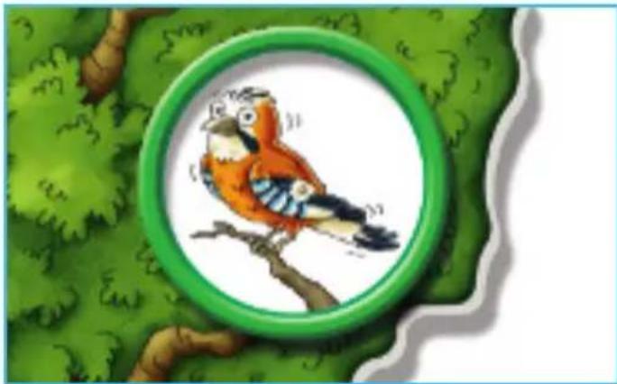 RAVENSBURGER Was passt wohin? - Vorbereitung - 4