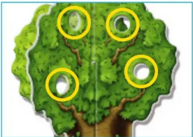 RAVENSBURGER Was passt wohin? - Vorbereitung - 3