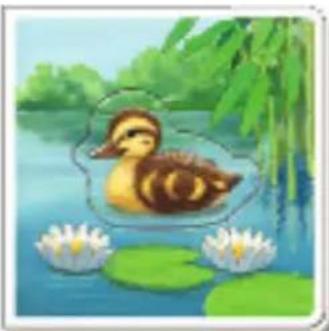 RAVENSBURGER Mein Tier zu mir - Bilder entdecken - 1