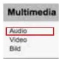 Instar IN-6001HD - MULTIMEDIA/AUDIO - 1