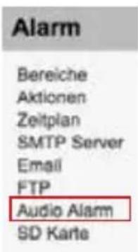 Alarm Bereiche Aktionen Zeitplan SMTP Server Email FTP Audio Alarm SD Karte