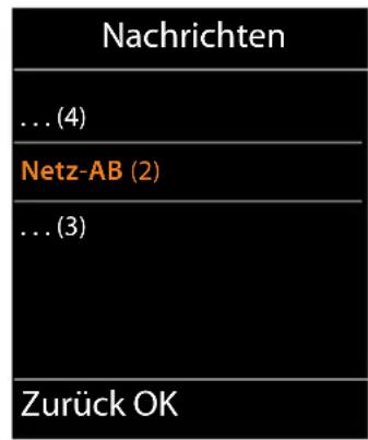 Nachrichten ... (4) Netz-AB (2) ... (3) Zurück OK