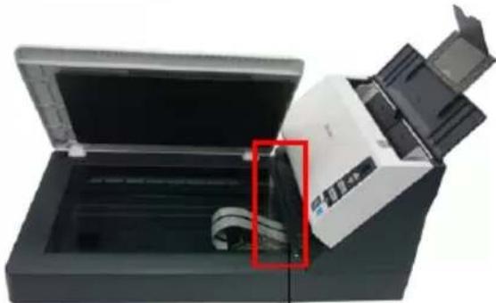 AVISION AV1880 - Entfernen Sie die Transporthalterung - 2