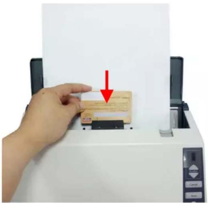 AVISION AV1880 - Einlegen von Karten und Dokumenten in den ADF-Papierzuführungsschacht - 2