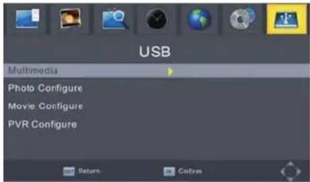 USB Multimedia Photo Configure Movie Configure PVR Configure Return Copies