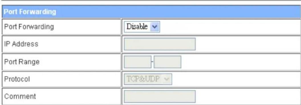 Premiertek LP-7316K - Virtual Server Settings - 1