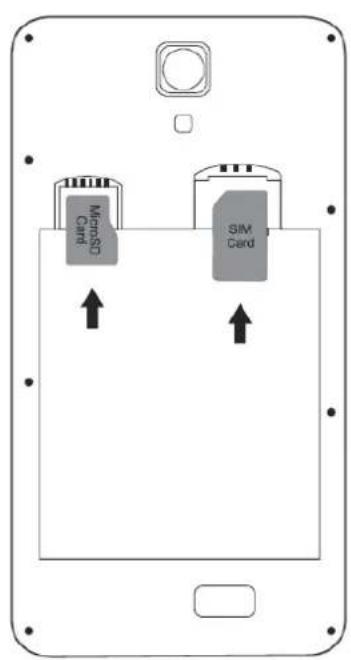MicroSD Card SIM Card