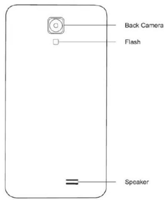 Back Camera Flash Speaker