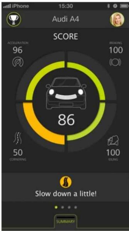 TOMTOM 1DA0.002.00 - TomTom CURFER: Punkte und Tipps - 2