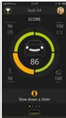 TOMTOM 1DA0.002.00 - TomTom CURFER: Punkte und Tipps - 4