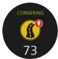 TOMTOM 1DA0.002.00 - TomTom CURFER: Zusammenfassung und Tipps - 1