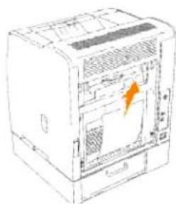 DELL 3010cn - Beseitigen von Papierstaus aus dem Papierentnahmebereich - 1