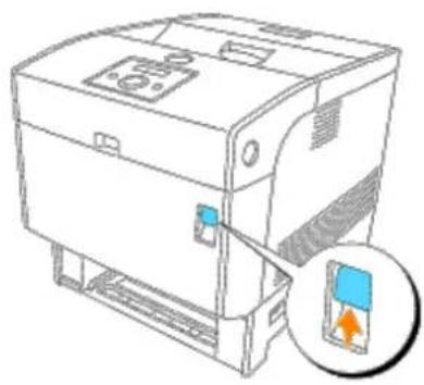 DELL 5100cn - Beseitigen von Papierstaus aus dem Standard-Papierfach - 6