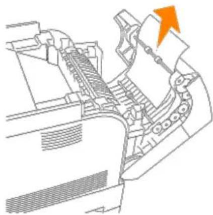 DELL 5100cn - Beseitigen von Papierstaus aus der Duplexeinheit - 3