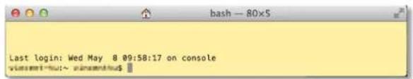 bash — 80x5 Last login: Wed May 8 09:58:17 on console pinsenthus~ pinsenthus$