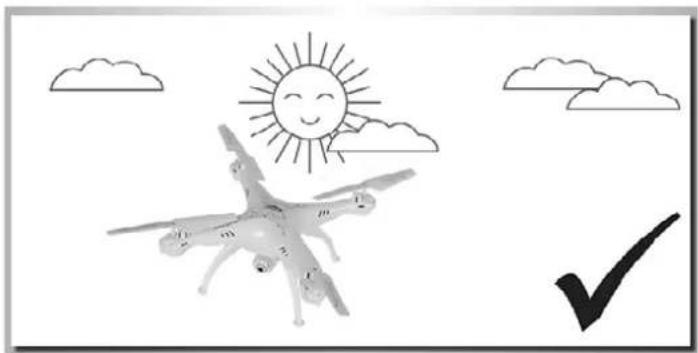 Carson X4 360 Quadcopter FPV - transmitter screen because the pilot will be unable to keep it in view should there be any radio interference with the video transmission. - 5