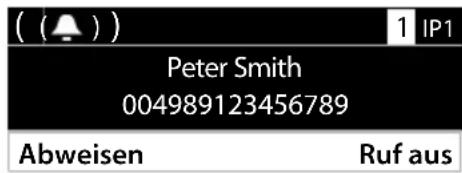 ( ( ) ) 1 IP1 Peter Smith 004989123456789 Abweisen Ruf aus