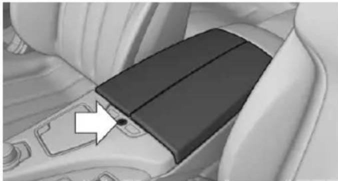 Close-up of a car seatbelt buckle with a white arrow pointing to the side panel (no text or symbols visible)