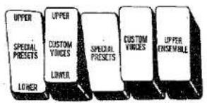 UPPER SPECIAL PRESETS LOWER UPPER CUSTOM VINES LINTER SPECIAL PRESETS UPPER SPECIAL VINES LINTER UP PER ENSEMABLE