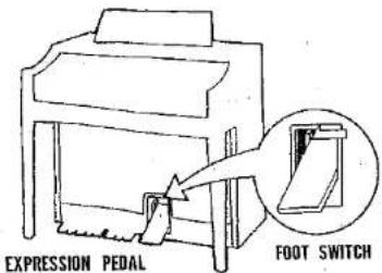 EXPRESSION PEDAL FOOT SWITCH