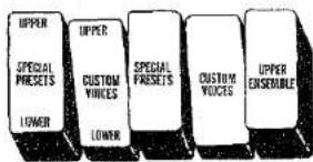 UPPER SPECIAL PRESETS LOWER UPPER CUSTOM VICES LOWER SPECIAL PRESETS UPPER CUSTOM VICES UPPER ENSEMBLE