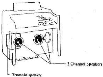 Tremolo speaker 3 Channel Speakers