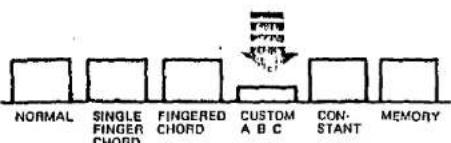 NORMAL SINGLE FINGER CHORD FINGERED CHORD CUSTOM A B C CONSTANT MEMORY