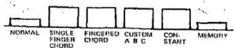 NORMAL SINGLE FINGER CHORD FINGERED CHORD CUSTOM A B C CONSTANT MEMORY