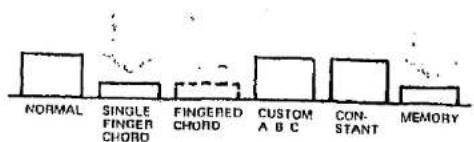 NORMAL SINGLE FINGER CHORD FINGERED CHORD CUSTOM A B C CONSTANT MEMORY