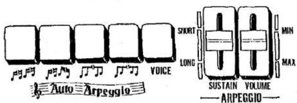 AVO ARPEGGIO SHORT LONG SUSTAIN VOLUME —ARPEGGIO MIN MAX