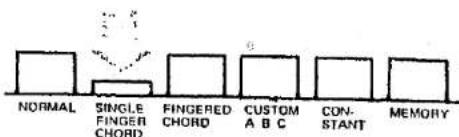 NORMAL SINGLE FINGER CHORD FINGERED CHORD CUSTOM A B C CONSTANT MEMORY