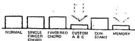 NORMAL SINGLE FINGER CHORD FINGERED CHORD CUSTOM A B C CONSTANT MEMORY