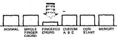 NORMAL SINGLE FINGER CHORD FINGERED CHORD CUSTOM A & C CON-STANT MEMORY