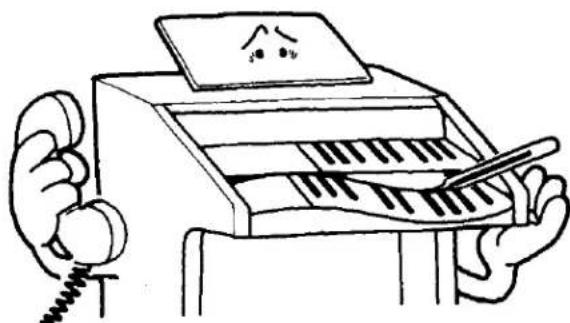 YAMAHA Electone B-20CR - Read the following before playing - 2
