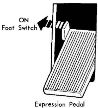 ON Foot Switch Expression Pedal